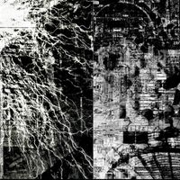 iann - electric overdose