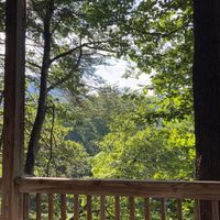 Wally - Born Here (Explicit)