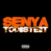 Senya - Todisteit (Explicit)