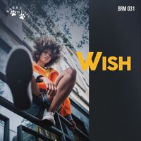 Swan - Wish