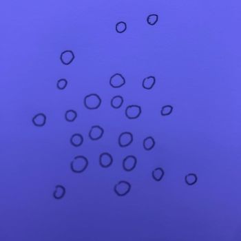 ReAcH - zebra monkey great white shark ditch recover (Explicit)