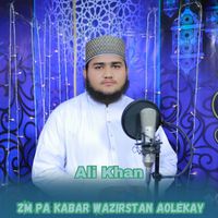 Ali Khan - Zm Pa Kabar Wazirstan Aolekay