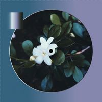 Ethan - Sweet Like Jasmine
