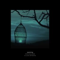 Seeming - Tomorrow Place