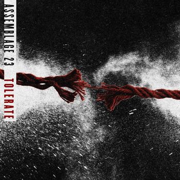 Assemblage 23 - Tolerate