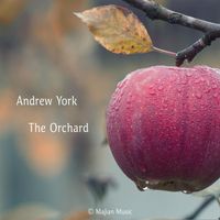 Andrew York - The Orchard