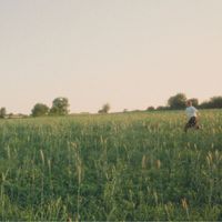 Rindue - Window