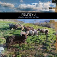 Felpeyu - Si quies que baille contigo