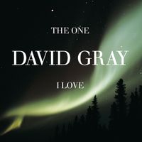 David Gray - The One I Love (Demo)