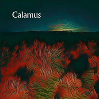 Calamus - Sponprov 25