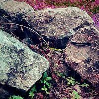 Feed - 25r (Explicit)