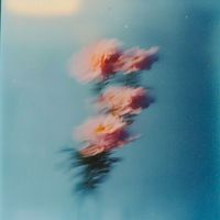 John Hayes - Closer
