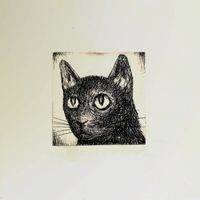 R.E.D - JAZZ PARA GATOS PERDIDOS (Explicit)