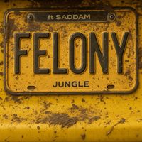 Jungle - Felony (Explicit)