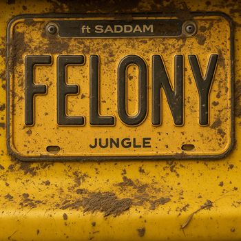 Jungle - Felony (Explicit)