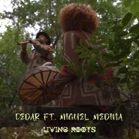 Living Roots - Cedar