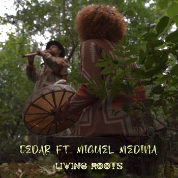 Living Roots - Cedar