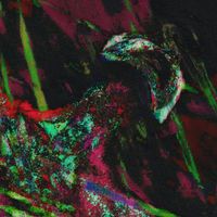RADIATOR - N33DL35|R3M1XX3D (Explicit)