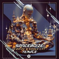SpaceNoize, X-NoiZe and Space Cat - Temple