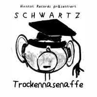 Schwartz - Trockennasenaffe