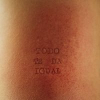 Wille - Todo te da igual