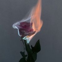 Amae - Our Sadness
