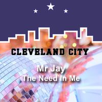 Mr Jay - The Need in Me
