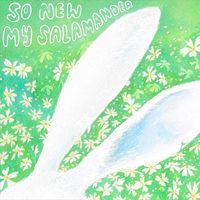 my salamander - So New