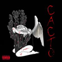 Chicano - Cacto