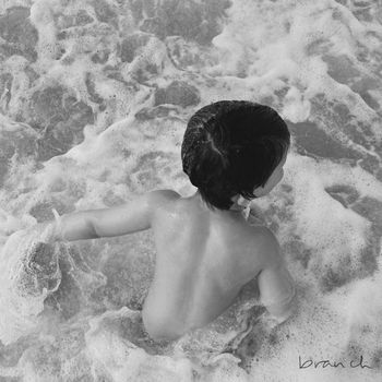 branch - waters