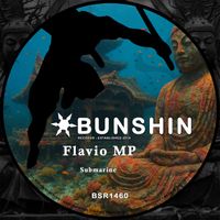 Flavio MP - Submarine