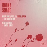 Booka Shade - Right Now (P.I.N. 4) / Electric Birds (Remixes)