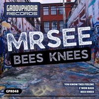 MrSee - Bees Knees