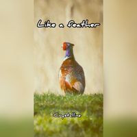 Crystalline - Like a feather