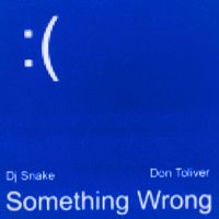 DJ Snake, Don Toliver - Something Wrong (Explicit)