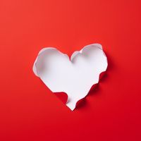 Stephanie - Notes to the Heart