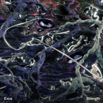 Exos - Strength