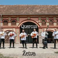 Quercus - Žetva