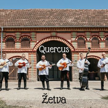 Quercus - Žetva