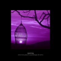 Seeming - Tomorrow Place (Assemblage 23 Remix)