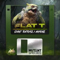 Flat T - Giant Tortoise