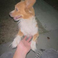 Xoxo - Estrellas en el Cielo (Explicit)