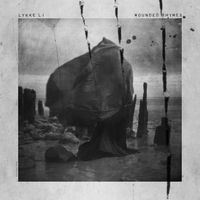 Lykke Li - The Only