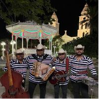 ERICKSOL - Te Gusta Tequila