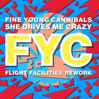 Fine Young Cannibals - She Drives Me Crazy (Flight Facilities Rework)