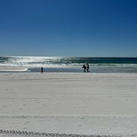 L. Reed - Dancing My Life Around You