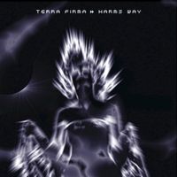 Terra Firma - Harms Way