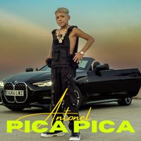 Antonel - Pica Pica