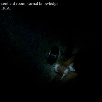 IRIA - Sentient Room, Carnal Knowledge