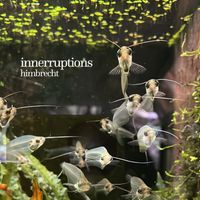 Himbrecht - innerruptions